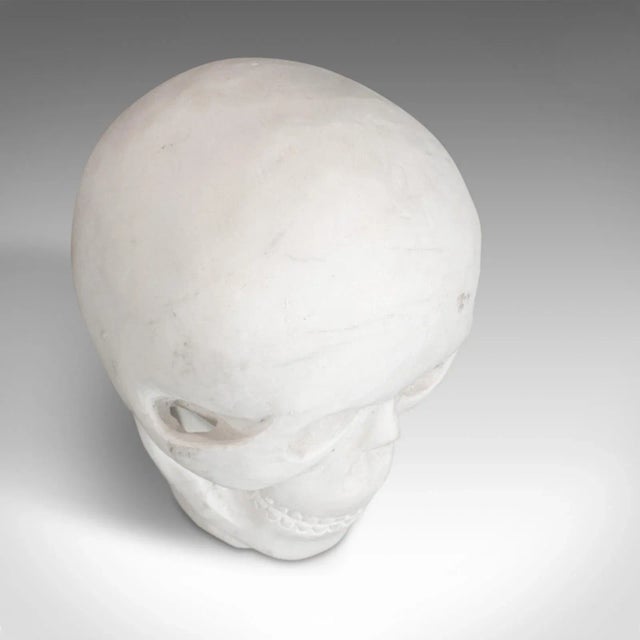 20th Century Marble Carved Decorative Skull For Sale - Image 6 of 11