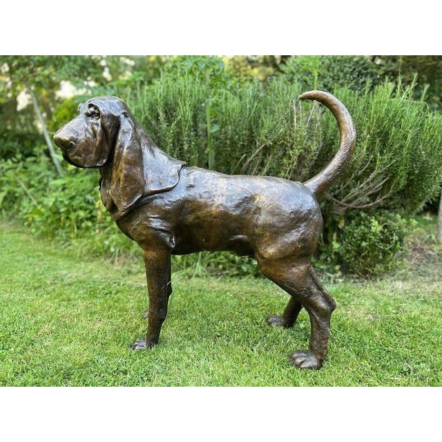 Life-Size Bronze Bloodhound Garden Statue from Christian Maas For Sale - Image 3 of 18