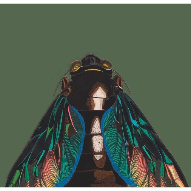 The series was produced by CFA editions from original pochior prints by E.A. Seguy. The series of insects that Seguy...