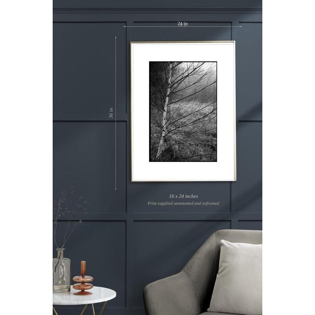 Contemporary Paul Cooklin, Scan 20211222 93, Edition of 50 For Sale - Image 3 of 5