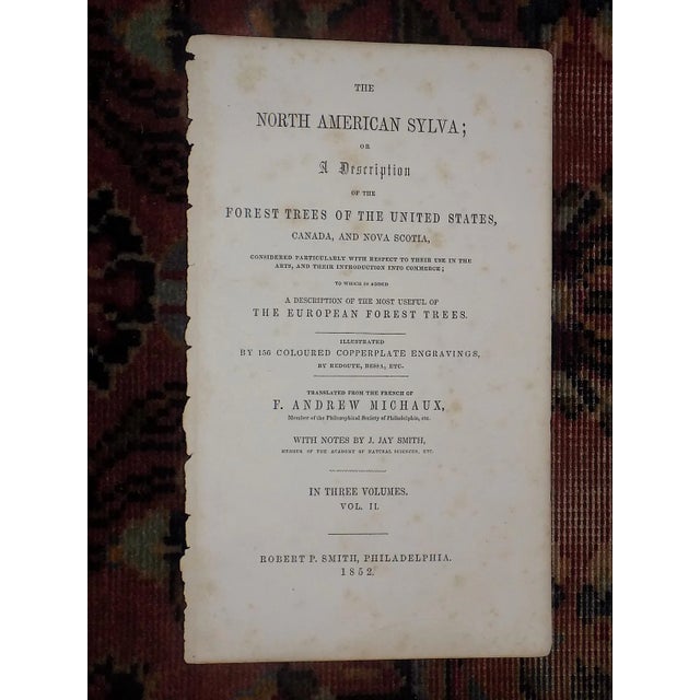 Antique 19th Century North AmericanTree Lithographs- Set of 7 For Sale In Cincinnati - Image 6 of 8