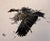 In "Goose II," a solitary goose takes flight, its wings outstretched in a dynamic display of movement. The artist employs...