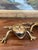 Brass Pair of Vintage Brass Toned Crouching Frog Sculptures With Open Mouth and Textured Detailing.. For Sale - Image 8 of 10