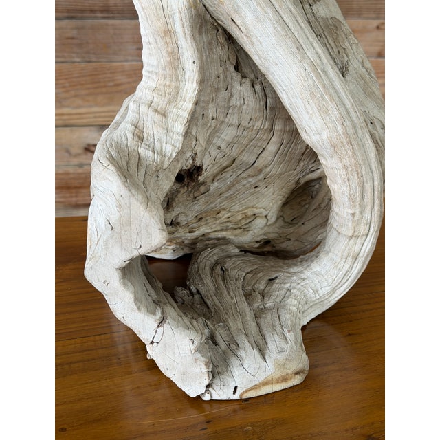 1970s Monumental Sculptural Driftwood Table Lamp, Organic Modern Coastal Decor For Sale - Image 5 of 12