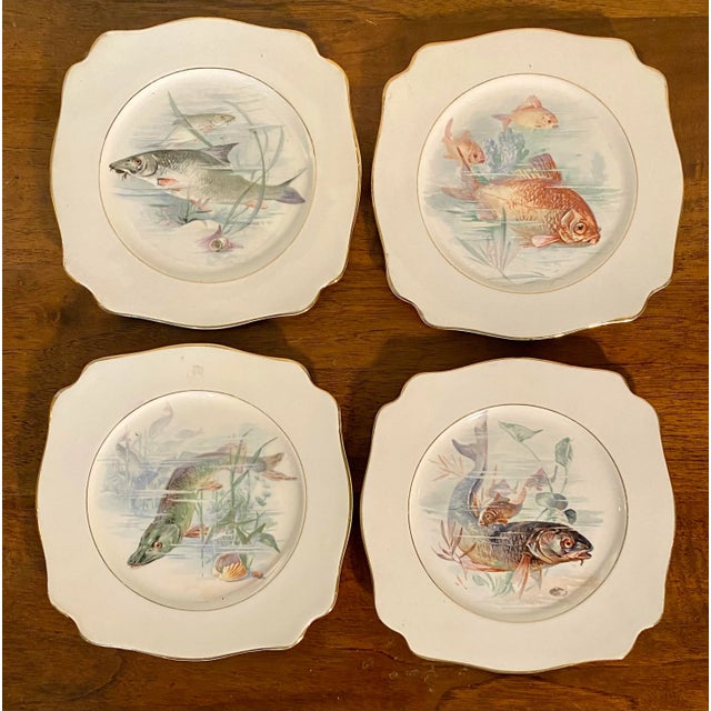 Ceramic Set of Four Early 20th Century Decorative English Plates With Fish By: A. J. Wilkinson For Sale - Image 7 of 7