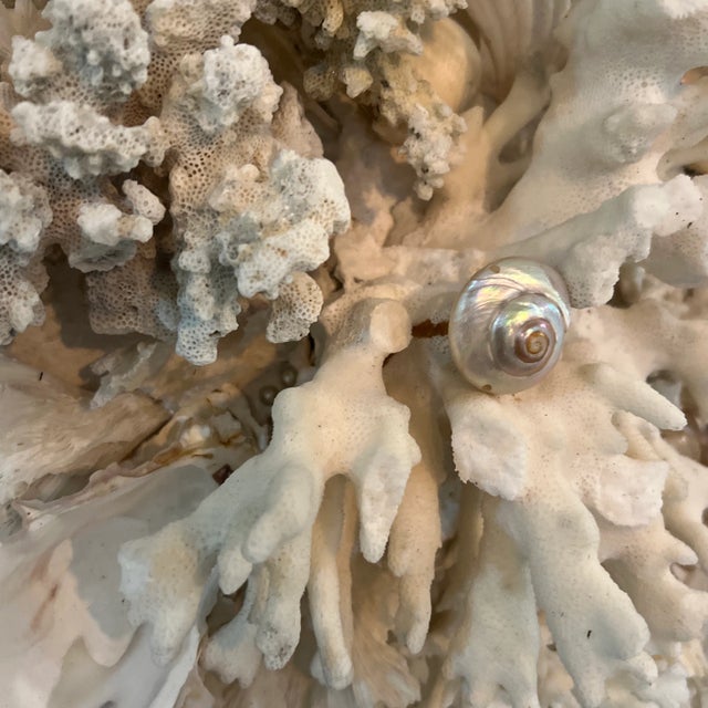 Vintage White Shell and Coral Encrusted Mirror For Sale In New York - Image 6 of 7