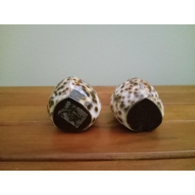 Coastal Vintage Sea Shell Salt and Pepper Shakers For Sale - Image 3 of 4