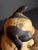 Early 20th Century Antique Hubley Cast Iron Fido on Pillow Still Penny Bank, Original Paint C. 1920s For Sale - Image 5 of 17