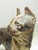 Metal Cast Iron Hubley Boston Terrier Doorstop For Sale - Image 7 of 17