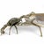A Silver Plated Bronze Sculpture of a Crab For Sale In Los Angeles - Image 6 of 12