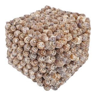 Coastal Bali Shell Box Medium For Sale