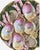 Set of 4 — Antique Carl Tielsch Ct Germany Oyster Plates — Hand-Painted, 5-Well Sculptural Mold, Martha's Vineyard Estate, c.1850 For Sale - Image 11 of 12