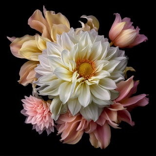 Bouquet in Shadow Contemporary Photograph For Sale