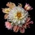 Bouquet in Shadow Contemporary Photograph For Sale