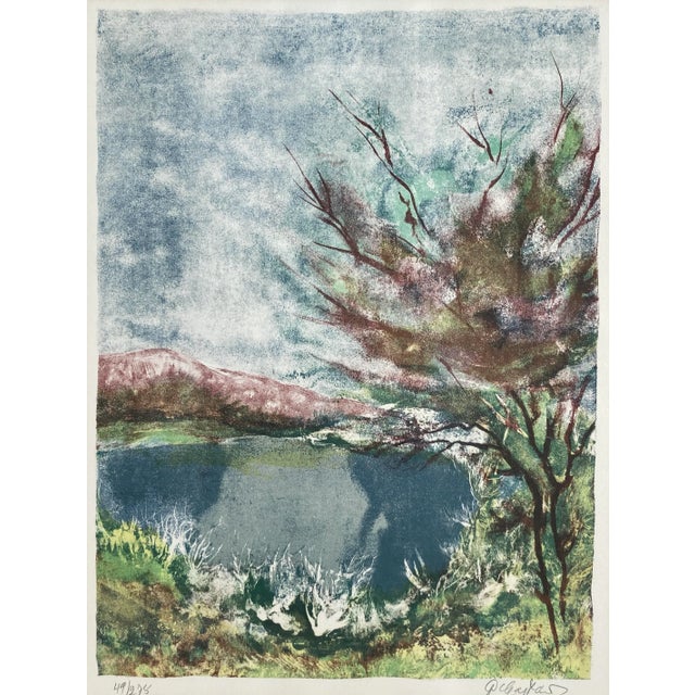 Impressionist 1960s Pervez Captain Landscape Lithograph For Sale - Image 3 of 3