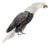 Eagle in Quartz and Silver For Sale