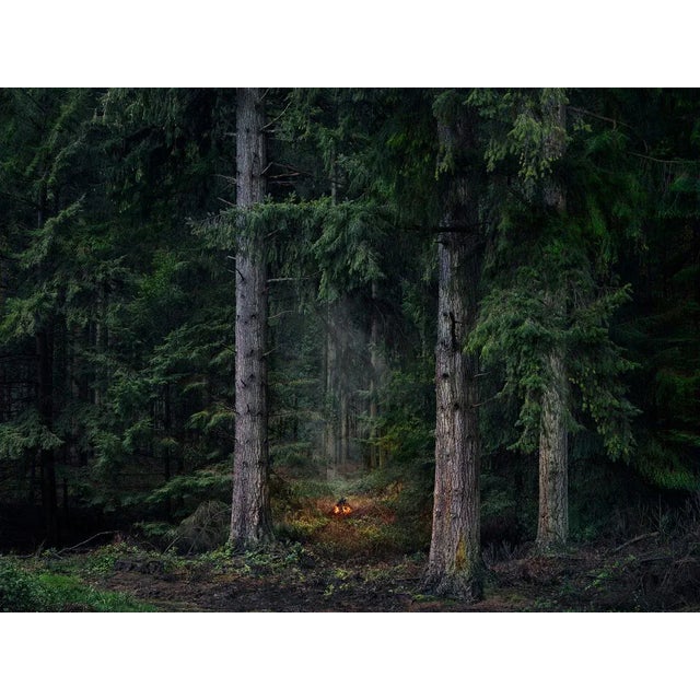 Fires 9 is a stunning Digital C-Type print on Fuji Maxima Matte paper, available in this size from a Limited Edition of 7...