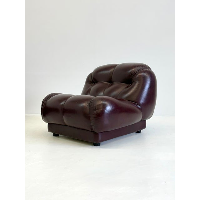 Brown Nuvolone Modular Sofa by Rino Maturi for Mimo Padova, 1970s, Set of 4 For Sale - Image 8 of 12