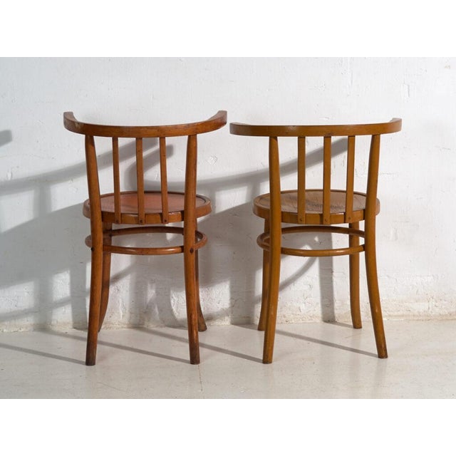 1920s Mundus Bentwood Chairs, 1920, Set of 4 For Sale - Image 5 of 14