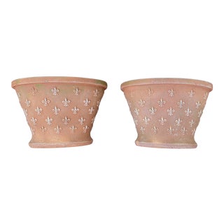 Large and Patinated Oval Terracotta Planters With Fleur De Lis Pattern - a Pair For Sale