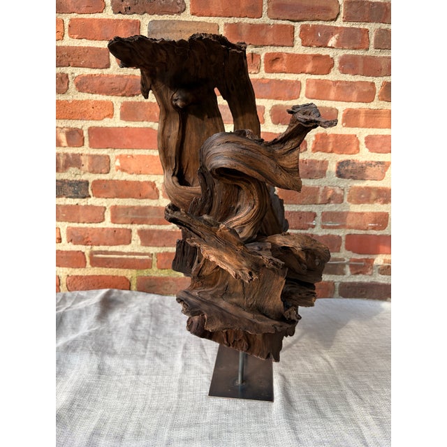 Rustic Vintage Teak Wood Root Sculpture on Metal Stand For Sale - Image 3 of 17