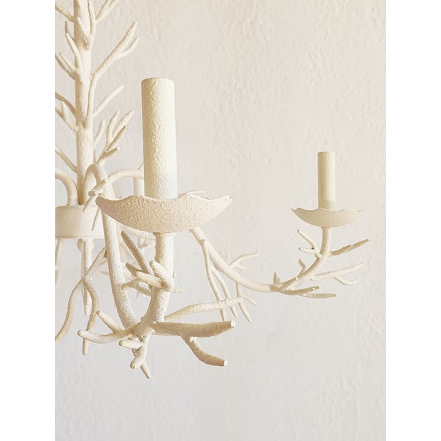 Off-white Coral Motif Five Lights Chandelier For Sale - Image 8 of 12