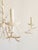 Off-white Coral Motif Five Lights Chandelier For Sale - Image 8 of 12