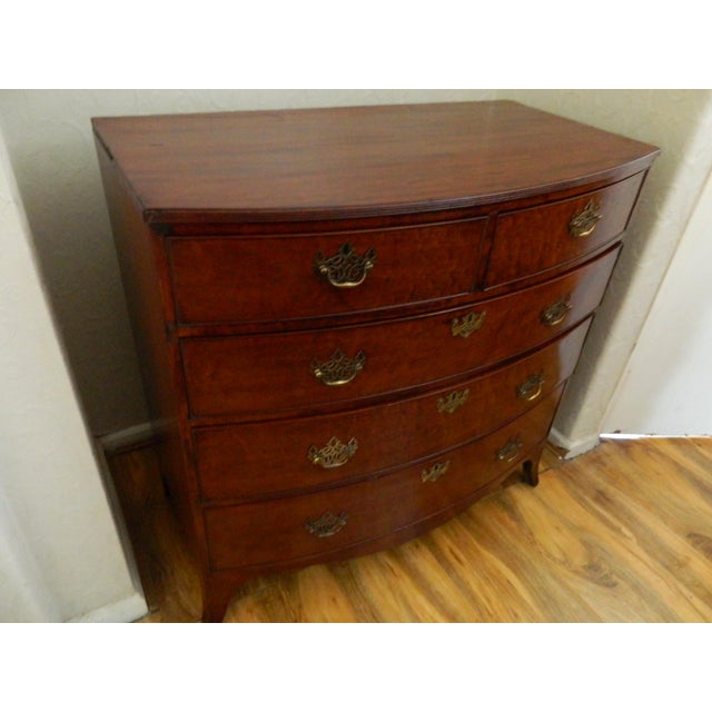 Regency Mahogany Bow Front Chest of Drawers For Sale - Image 10 of 18