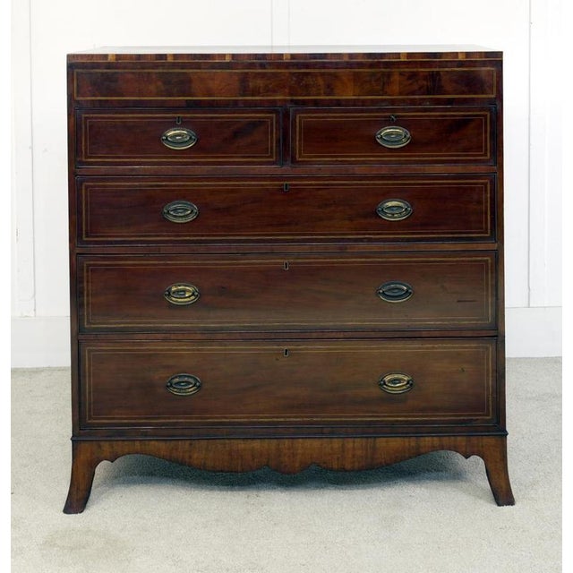 Georgian Mahogany and Satinwood Chest Drawers, 1820s For Sale - Image 5 of 5