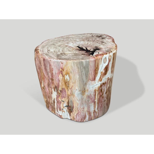 Contemporary Andrianna Shamaris Coral Toned High Quality Petrified Wood Side Table For Sale - Image 3 of 18