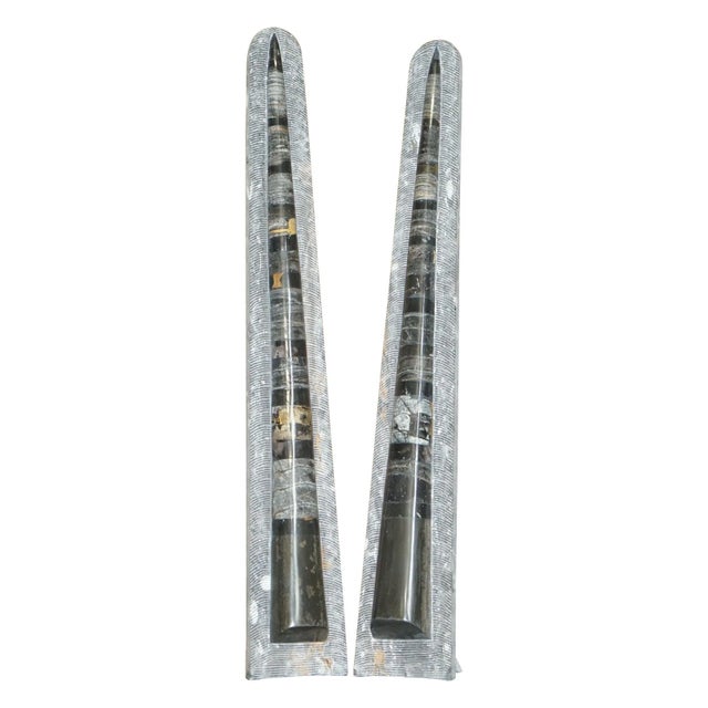 Large Atlas Mountains Fossils, Set of 2 For Sale - Image 18 of 18