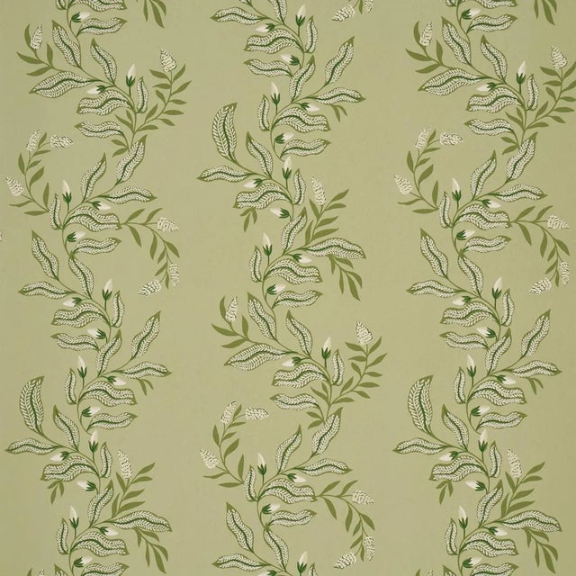 Schumacher X Laura Gonzalez Vagary Vines Wallpaper In Honeydew For Sale