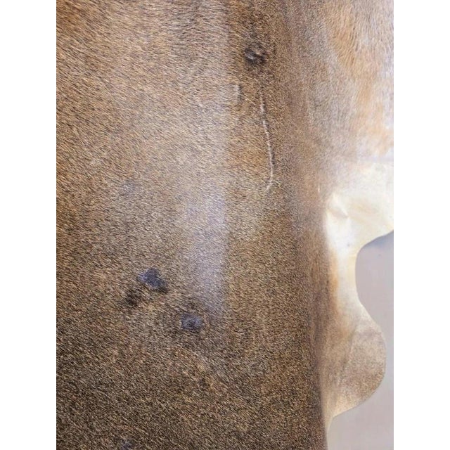 Large Beige and Brown Cowhide Rug For Sale - Image 4 of 18