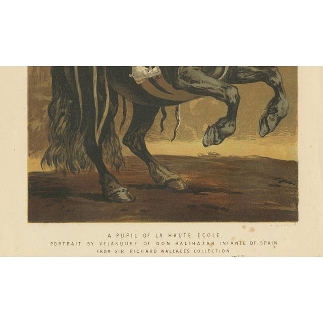 Paper Cassell and Company after Diego Velázquez, Prince on Horseback, 1880, Chromolithograph For Sale - Image 7 of 9
