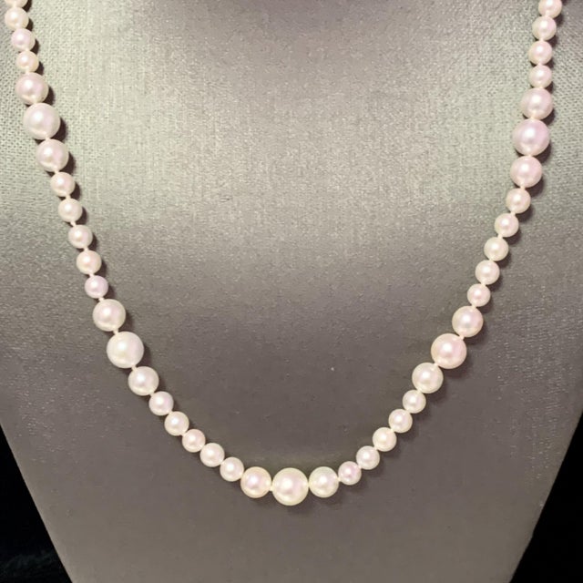 Metal Akoya Pearl Necklace 14k Yellow Gold Certified For Sale - Image 7 of 11