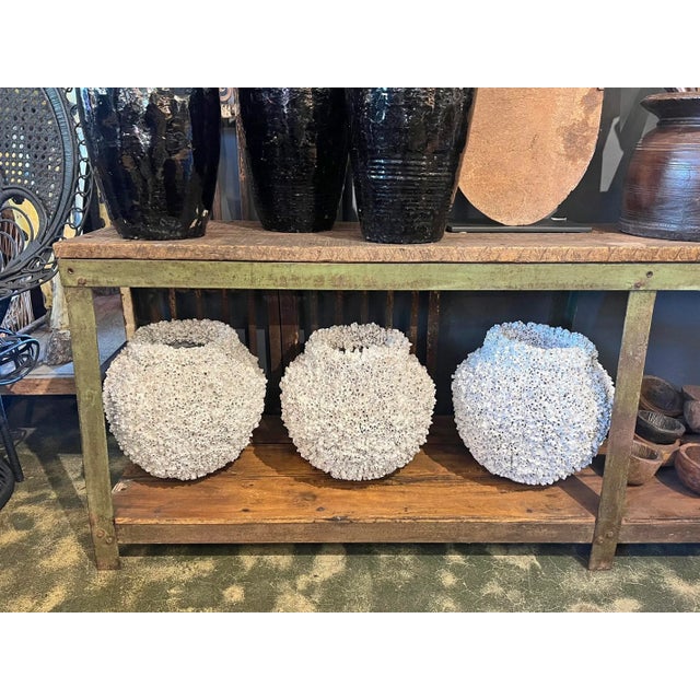 White Vintage White Barnacle Shell Pot For Sale - Image 8 of 9