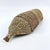 Early 20th Century Gambela Bread Basket Ethiopia For Sale In Denver - Image 6 of 6