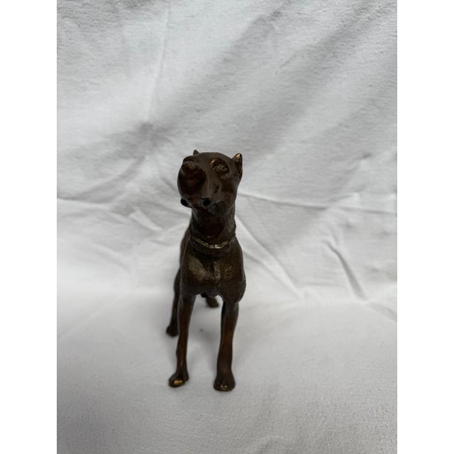 Cast Iron Male Patina Great Dane. Medium Size, 1940s. In Excellent Condition.