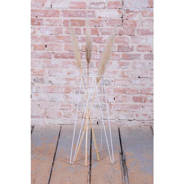 Mid-Century Czech Flower Stand in Lacquered Steel, 1950s For Sale - Image 4 of 7