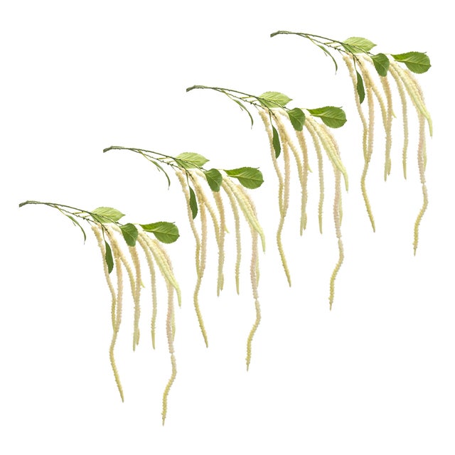 Rustic Amaranthus Floral Stem (Set of 4) For Sale - Image 3 of 3
