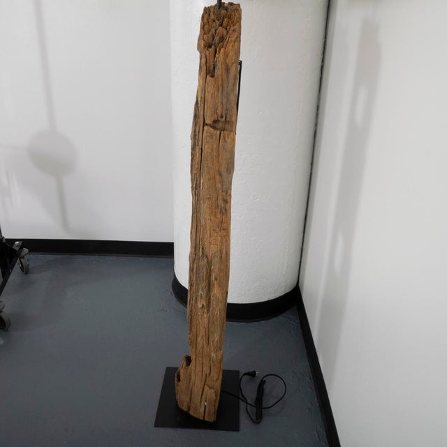 Natural driftwood floor lamp For Sale In New York - Image 6 of 13