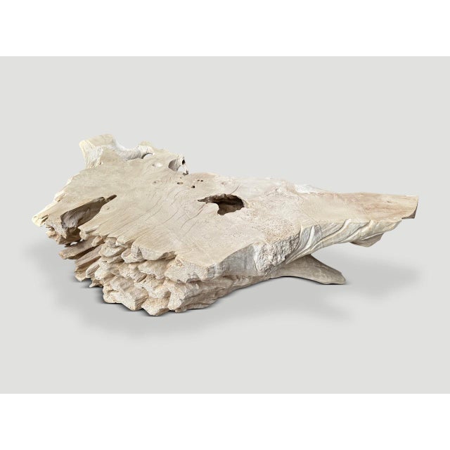 Andrianna Shamaris Bleached Sculptural Teak Wood Coffee Table For Sale - Image 11 of 18