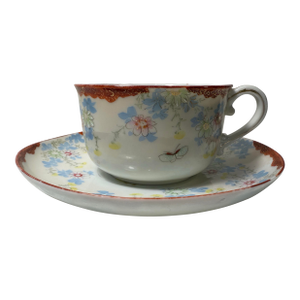 Antique Mustache Cup & Saucer With Hand Painted and Butterflies