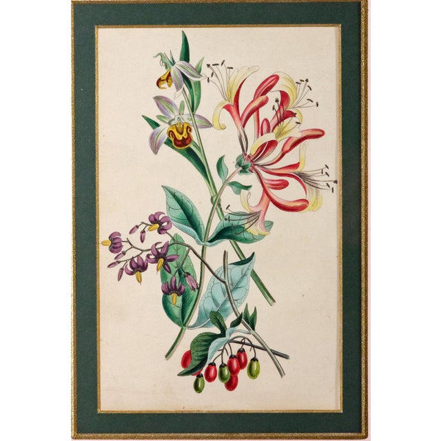 Mid 19th Century Robert Mackenzie Stark Pair of Botanical Prints From ‘Lessons From the Vegetable World’ For Sale - Image 5 of 11