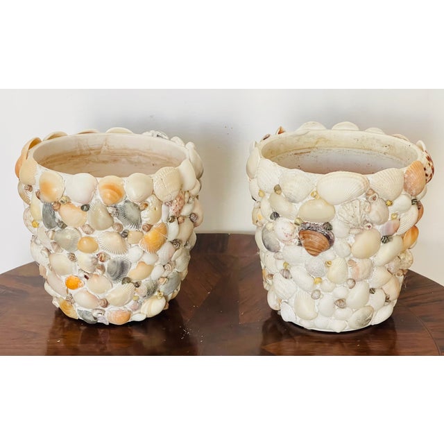 Nice pair of terracotta sea shells encrusted flower pots in the style of Tony Doucquett.