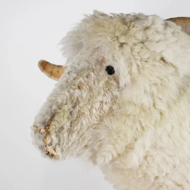 Add a whimsical touch to any space with this genuine shearling sheep fur sculpture. Created from wood, the animal is...