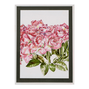 Hot Pink Roses - Botanical Study by Deborah Eddy