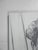 Contemporary Contemporary Charcoal on Canvas Portrait Drawing For Sale - Image 3 of 7