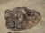Brown Pair of Heavy French Cast Iron Lion Building Ornaments, Circa 1900 For Sale - Image 8 of 18