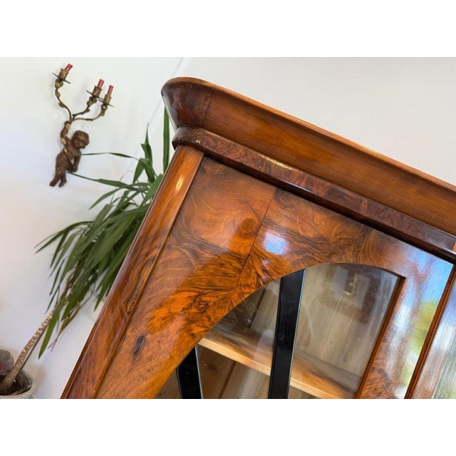 Biedermeier Sun-Shaped Display Cabinet in Walnut For Sale - Image 10 of 12